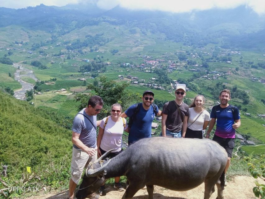 From Sapa : 1 Day Amazing Sapa Trek To Terrace rice field - What the downhill route feels like