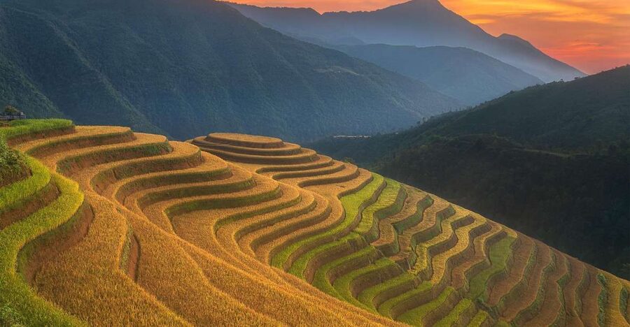 From Sapa: 1-Day Guided Trek to Lao Chai & Ta Van with Lunch - Rice terraces and the Muong Hoa route