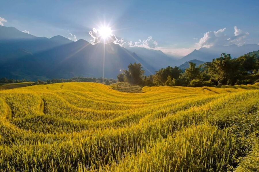 From Sapa: 1-Day Guided Trek to Lao Chai & Ta Van with Lunch - What to pack for a better day