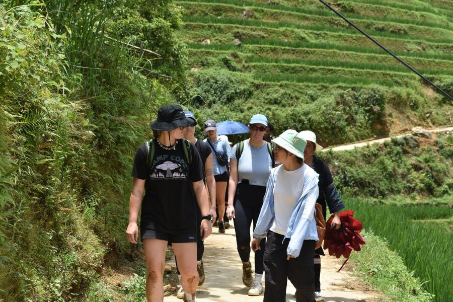 From Sapa: 1-Day Trekking through Terraces Rice Fields - Why this Sapa trek feels different from a road tour
