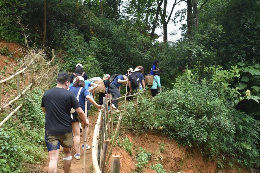 From Sapa: 1-Day Trekking through Terraces Rice Fields - Noon lunch in Lao Chai village