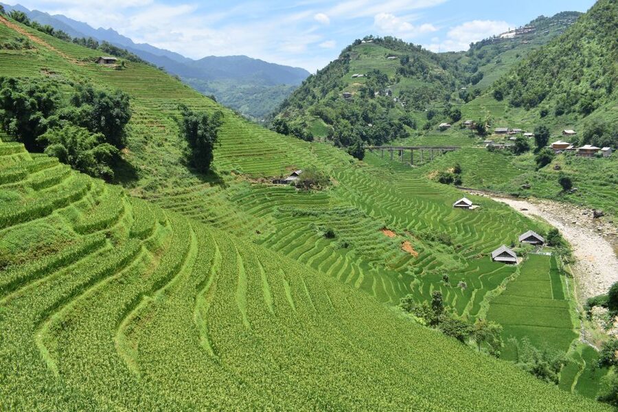 From Sapa: 1-Day Trekking through Terraces Rice Fields - 1:00 walk toward Ta Van