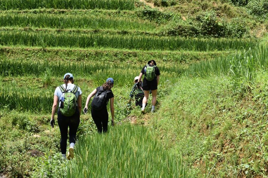 From Sapa: 1-Day Trekking through Terraces Rice Fields - Booking details worth knowing