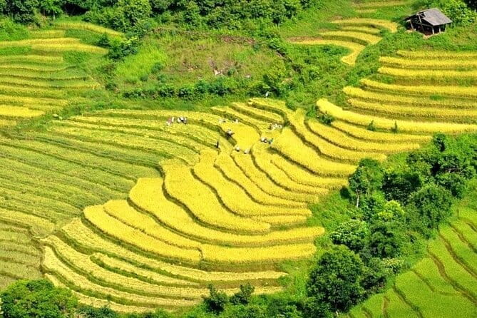 From Sapa: 2 Days 1 Night Trek Over Night At Homestay - Lao Chai, where several cultures meet