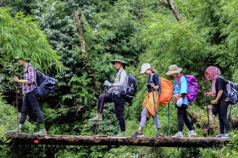 From Sapa: Fansipang Mountain Hike 1 Day - Why this Fansipan hike is worth considering