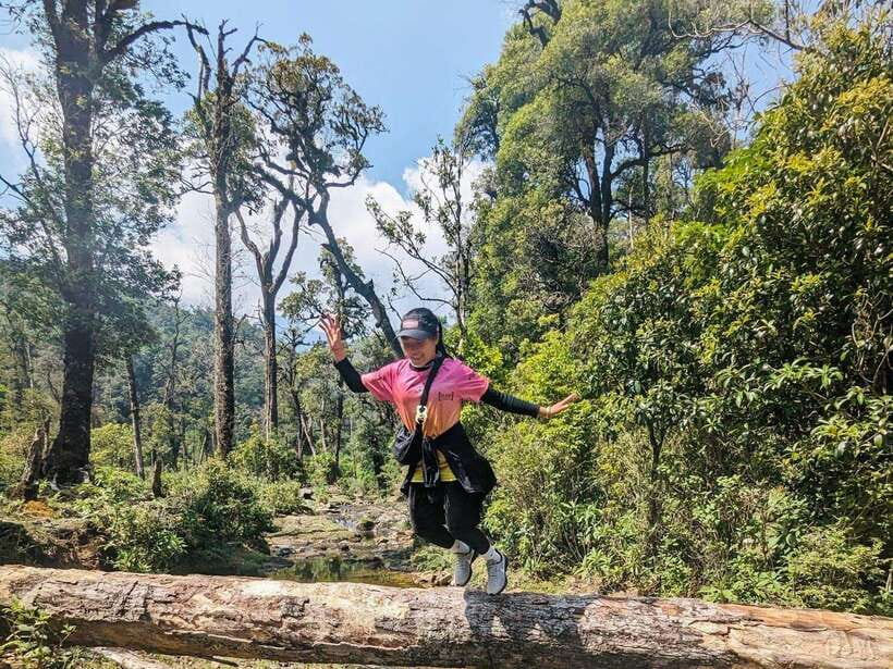 From Sapa: Fansipang Mountain Hike 1 Day - The steep push from 2,400 to 2,800 meters
