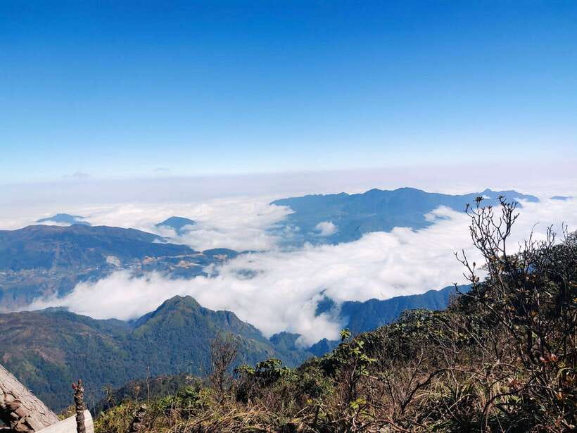 From Sapa: Fansipang Mountain Hike 1 Day - The final trail to Fansipan’s 3,143-meter summit
