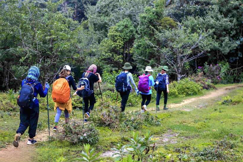 From Sapa: Fansipang Mountain Hike 1 Day - The 5:30 am pickup and drive to Tram Ton Pass