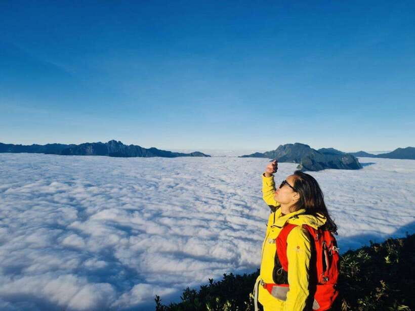From Sapa: Full-Day Fansipan Peak Trekking Tour - Key points at a glance