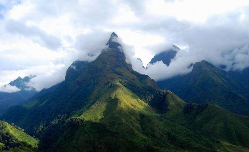 From Sapa: Full-Day Fansipan Peak Trekking Tour - Starting in Sa Pa and reaching the trail