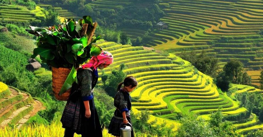 From Sapa: Full-Day Trekking Tour Lao Chai & Ta Van Villages - Why this Sapa trek works so well