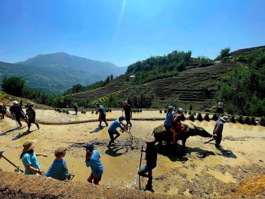 From Sapa: Full-Day Trekking Tour Lao Chai & Ta Van Villages - Booking, flexibility, and group details