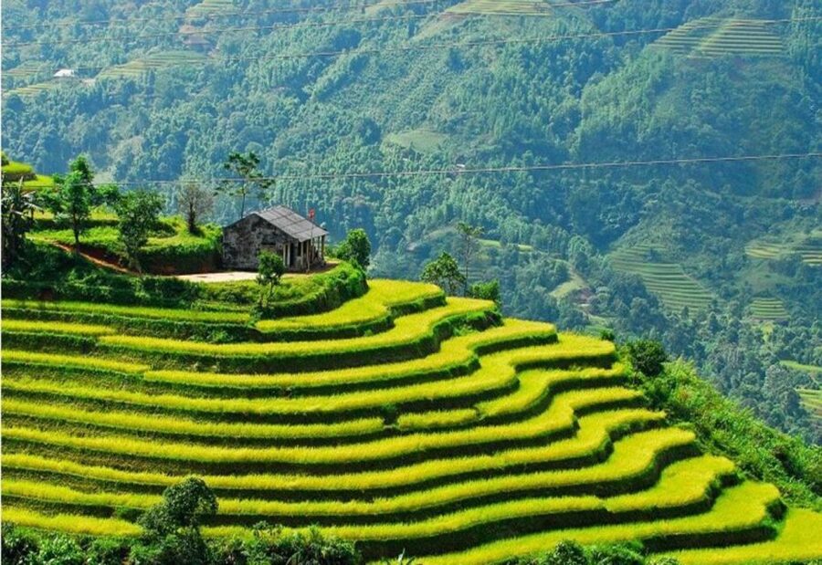 From Sapa: Full-Day Trekking Tour Lao Chai & Ta Van Villages - Lao Chai and Black H’mong village life