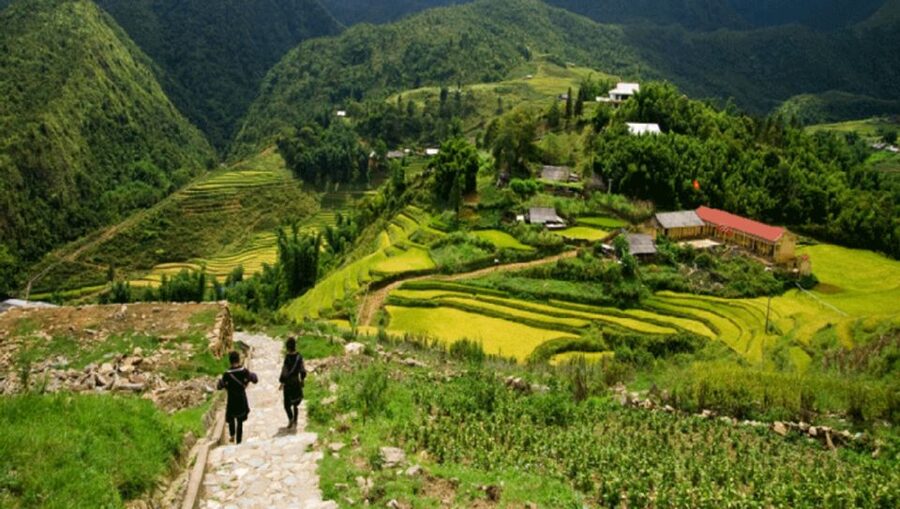 From Sapa: Full-Day Trekking Tour Lao Chai & Ta Van Villages - The three-hour walk to Ta Van