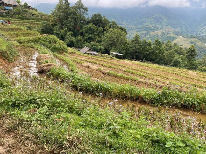 From Sapa: Full-Day Trekking Tour Lao Chai & Ta Van Villages - Lunch at about 12:30