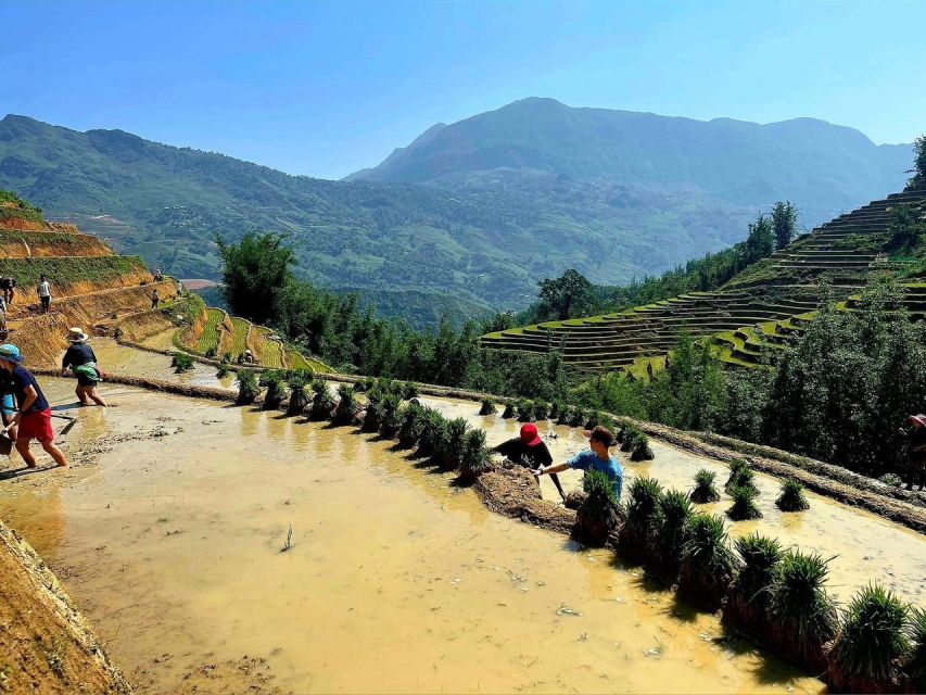From Sapa: Full-Day Trekking Tour Lao Chai & Ta Van Villages - Who should book this six-hour outing