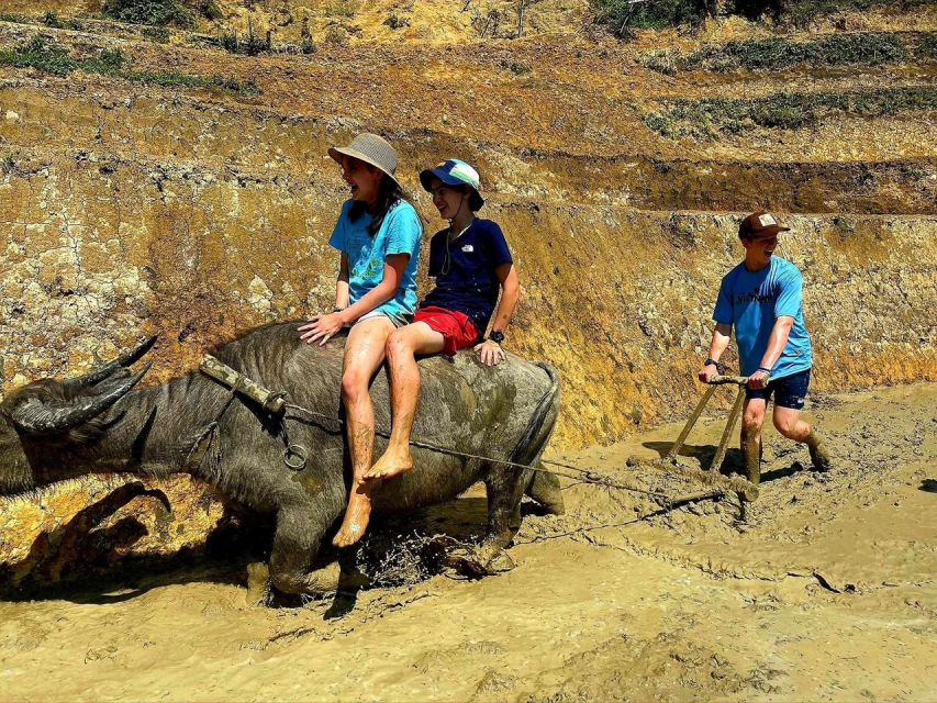 From Sapa: Full-Day Trekking Tour Lao Chai & Ta Van Villages - Y Linh Ho and the Muong Hoa Stream