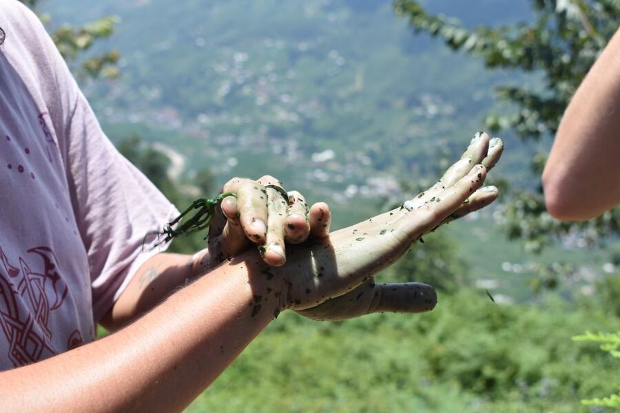 From Sapa: Muong Hoa Valley View & Village Trek 1-Day - Optional herbal baths and massage after the trek