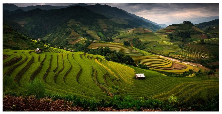 From Sapa: Terrace Fields and Local Villages Trek with Lunch - Lai Chai village and a closer look at local life