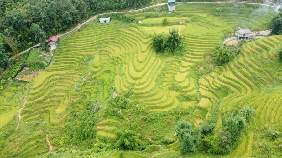 From Sapa: Terrace Fields and Local Villages Trek with Lunch - A local lunch after the walking