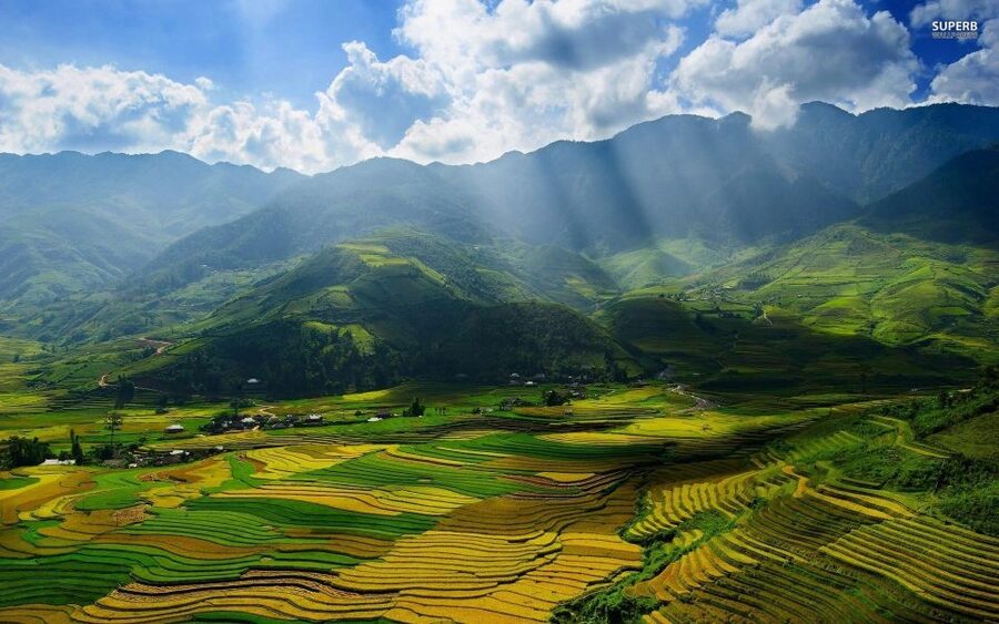 From Sapa: Terrace Fields and Local Villages Trek with Lunch - Who will enjoy this Sapa trek
