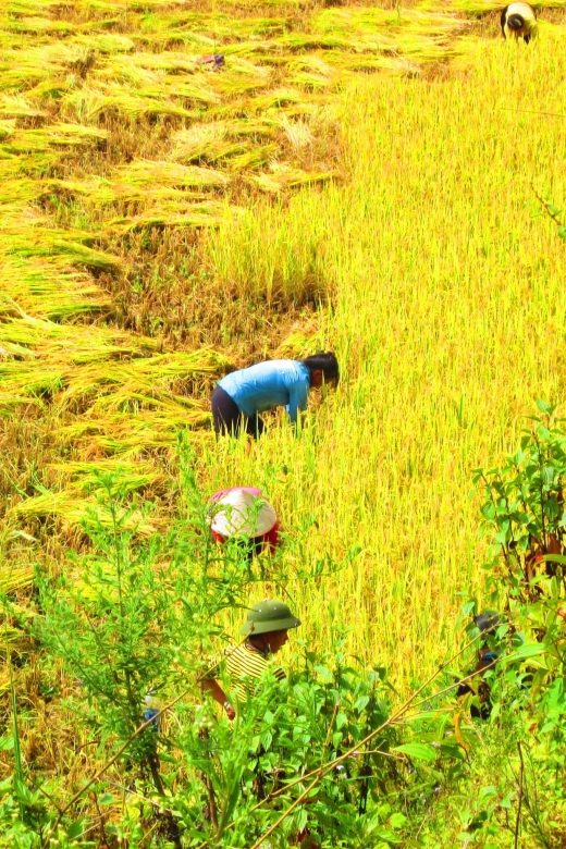 From Sapa: Waterfalls, Trekking and Tribal Villages Tour - Ban Khoan begins the real walk