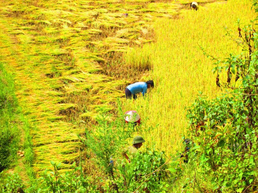 From Sapa: Waterfalls, Trekking and Tribal Villages Tour - How the $72 price holds up