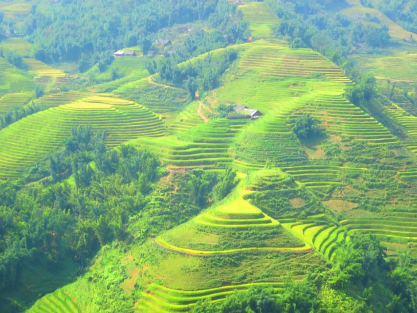 From Sapa: Waterfalls, Trekking and Tribal Villages Tour - Rice paddies, cornfields, and bamboo forest