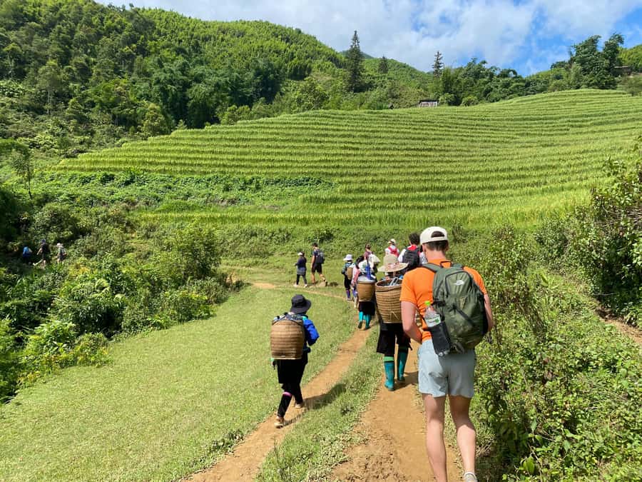 From Sapa: Y Linh Ho, Lao Chai & Ta Van Trek Day Tour - A full day in Muong Hoa Valley