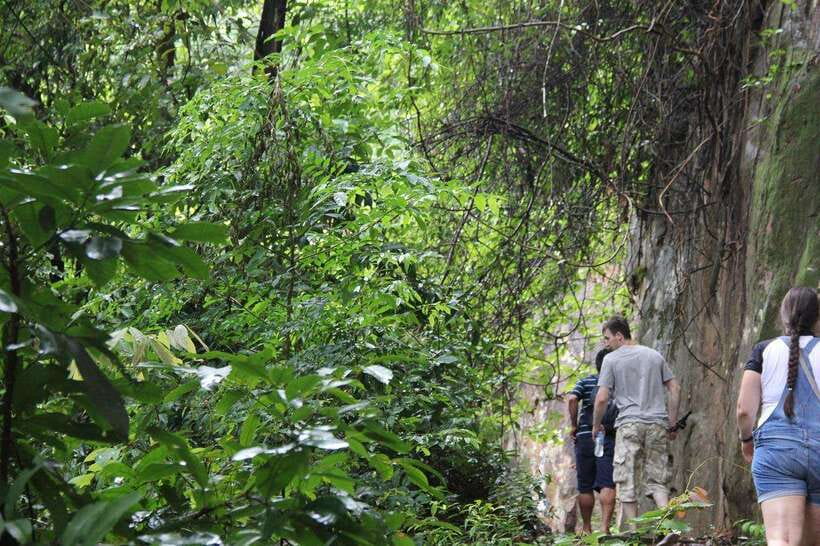 From Siem Reap: Phnom Kulen National Park Trekking Tour - Practical details that shape your day