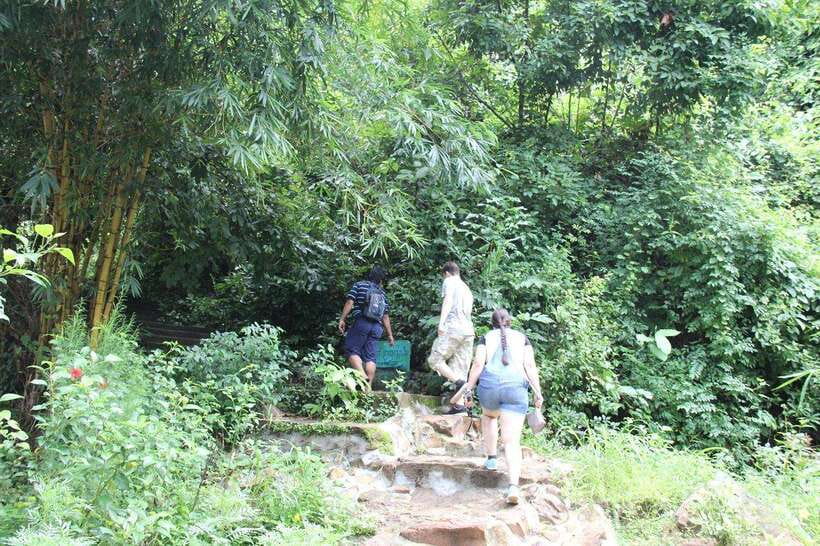 From Siem Reap: Phnom Kulen National Park Trekking Tour - What the $149 price includes