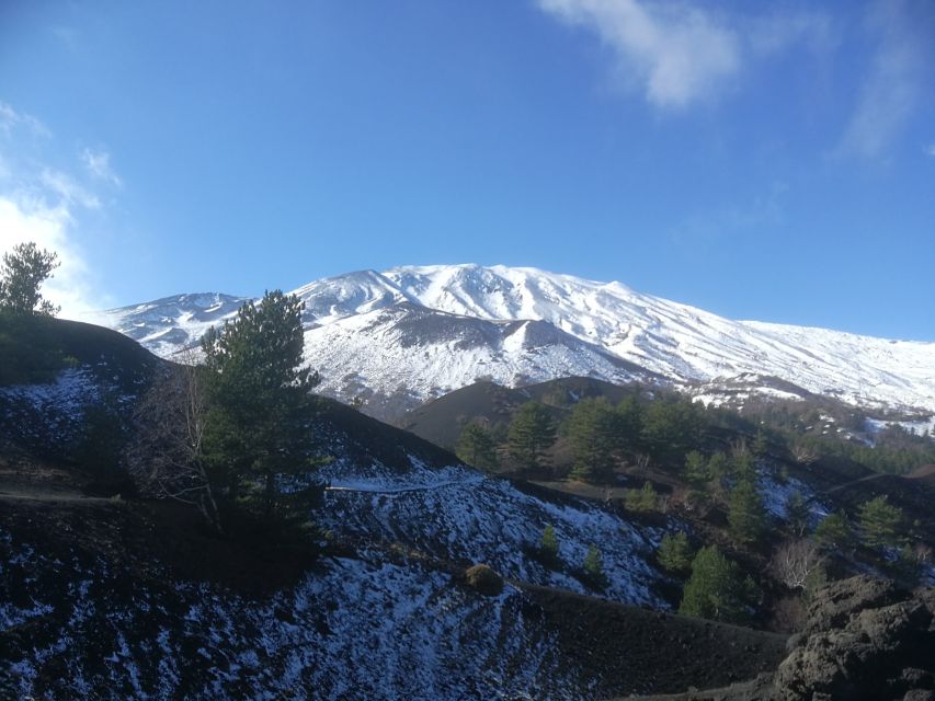 From Taormina: Half-Day Mount Etna Morning Trek - Sandwiches, Etna wine, and almond wine
