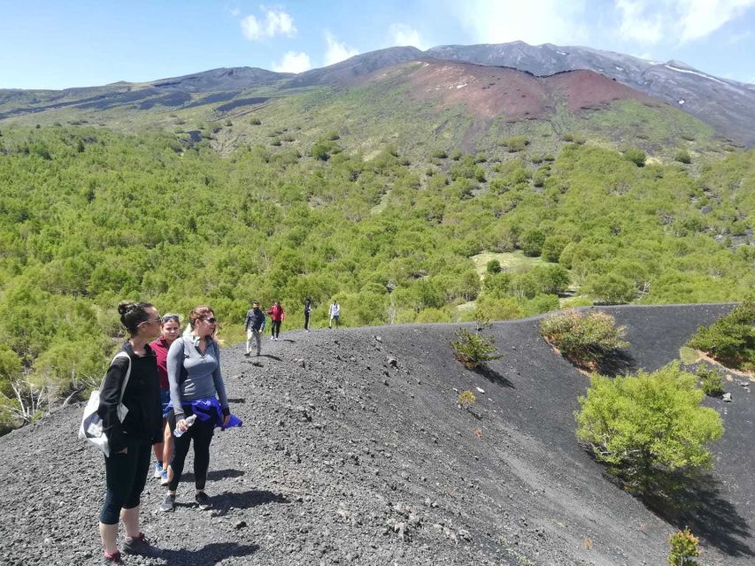 From Taormina: Half-Day Mount Etna Morning Trek - Is $106 a fair price?