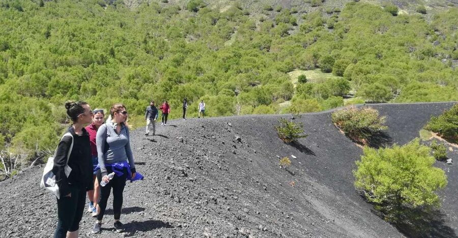 From Taormina: Half-Day Mount Etna Morning Trek - The morning drive from Taormina to Etna