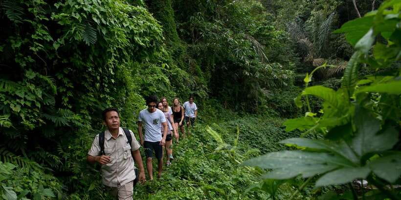 From Ubud: 3-Hour Tropical Trek and Taro Village Tour - From hotel pickup to Taro’s village lanes