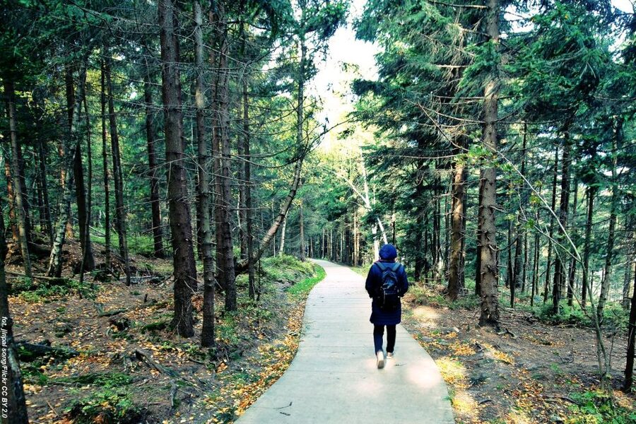 From Wroclaw: Full-Day Stolowe Mountains Trekking Tour - Czermna’s Skeleton Chapel
