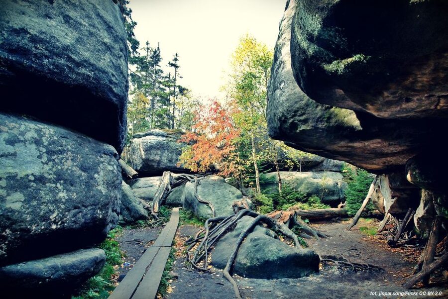 From Wroclaw: Full-Day Stolowe Mountains Trekking Tour - Climbing from Karlow to Szczeliniec Wielki