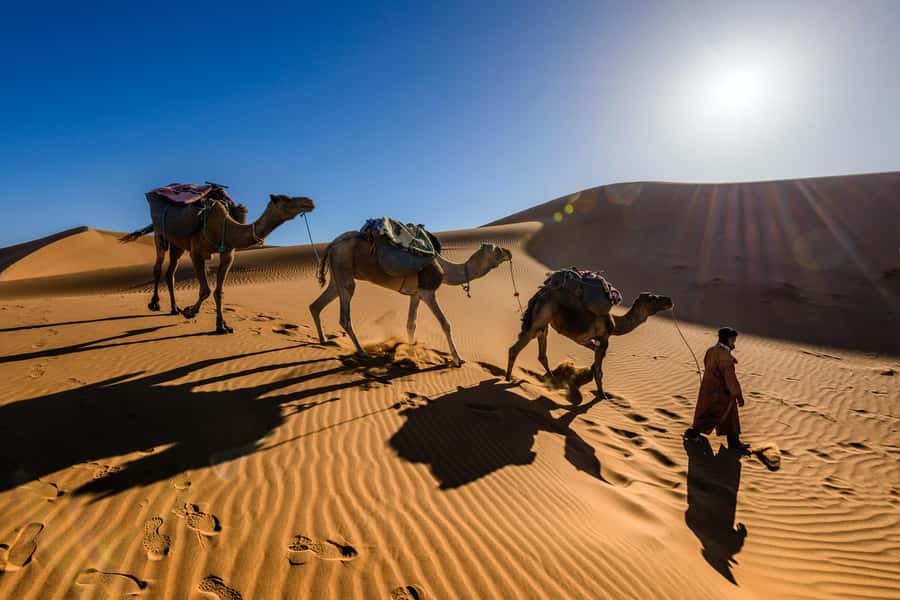 From Zagora: 3-Desert Tour to Erg Chigaga Dunes & Caml Trek - Should you book the Erg Chigaga tour?