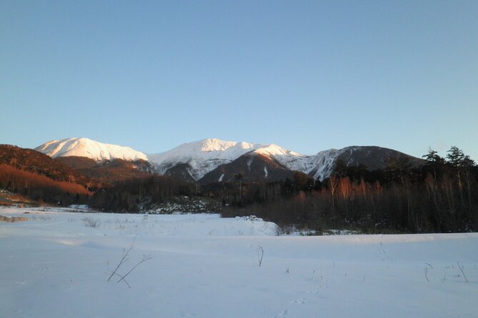 Frozen fall trekking - Key points to know before you book