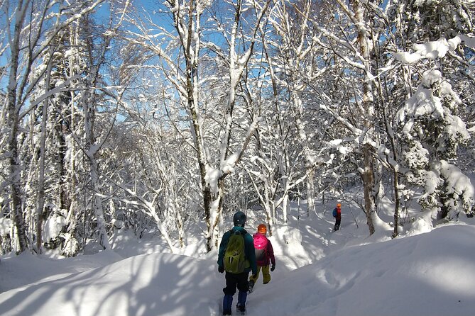 Frozen fall trekking - Guides, communication, and local character