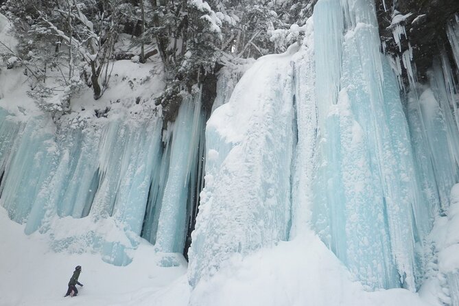 Frozen fall trekking - Walking into the snow-covered forest
