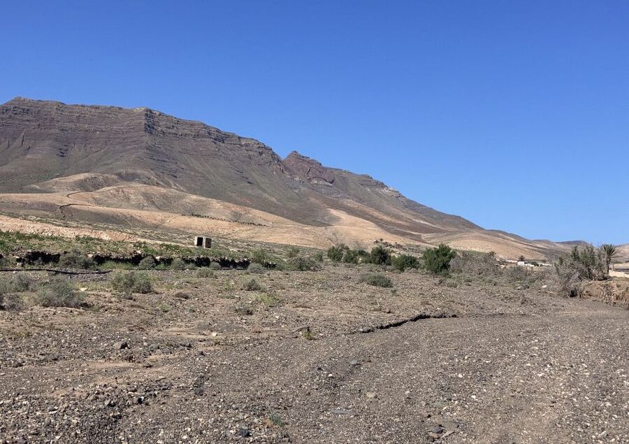 Fuerteventura: Guided Trekking Tour with Island Goats - Practical ways to enjoy the walk