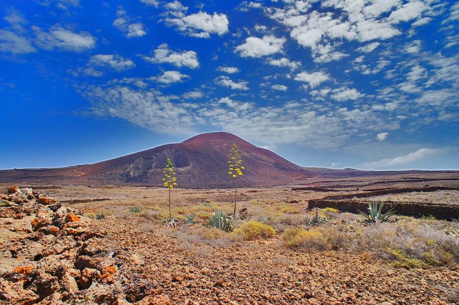 Fuerteventura: Trekking Tour Through the North of the Island - Why this northern hike is worth your morning