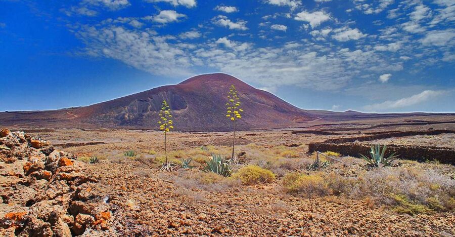 Fuerteventura: Trekking Tour Through the North of the Island - Calderón Hondo and its 50,000-year-old volcanic ground