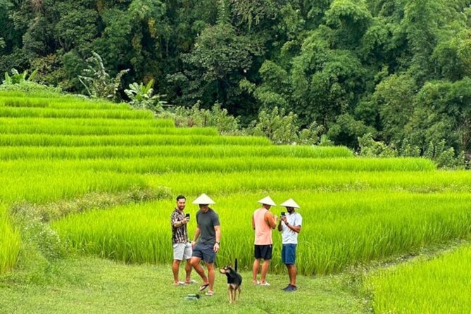 Full-Day Doi Inthanon National Park Tour with Trek and Pagodas - The King’s and Queen’s Pagodas