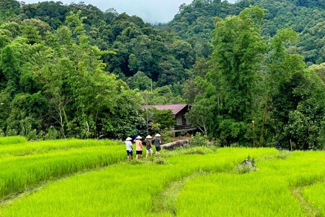 Full-Day Doi Inthanon National Park Tour with Trek and Pagodas - A Hmong Market stop and a useful lunch break