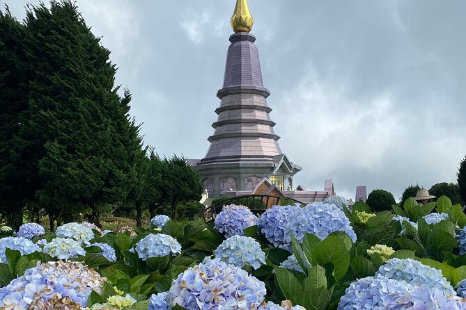Full-Day Doi Inthanon National Park Tour with Trek and Pagodas - Pha Dok Siew Nature Trail: the heart of the day