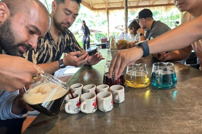Full-Day Doi Inthanon National Park Tour with Trek and Pagodas - Coffee in Baan Mae Klang Luang