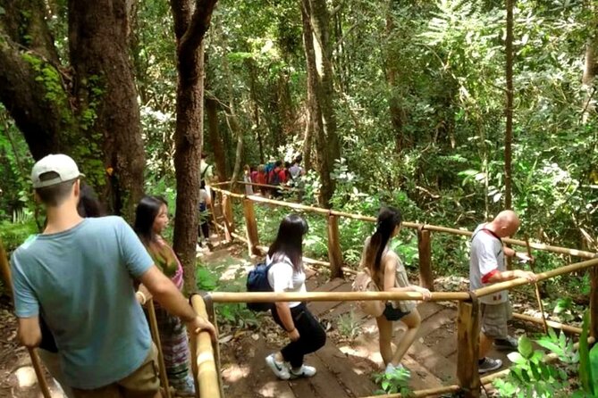 Full-Day Doi Inthanon National Park Tour with Trek and Pagodas - Wachirathan Falls and the final scenic stop