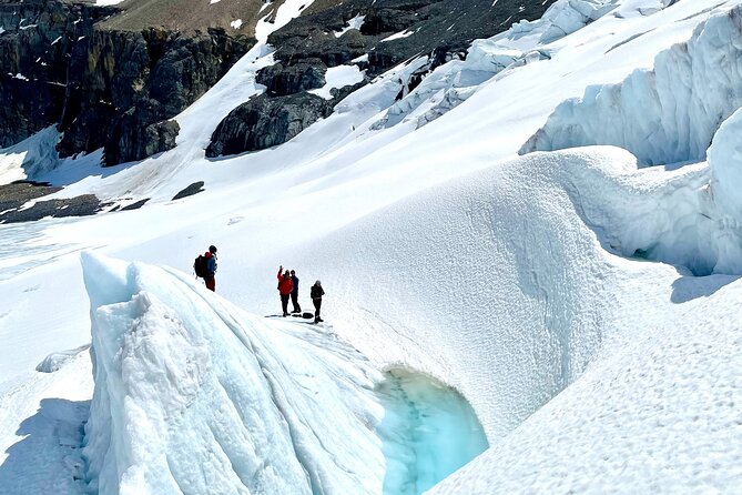 Full Day Guided Glacier Hike on The Athabasca with IceWalks - Equipment, clothing, and lunch